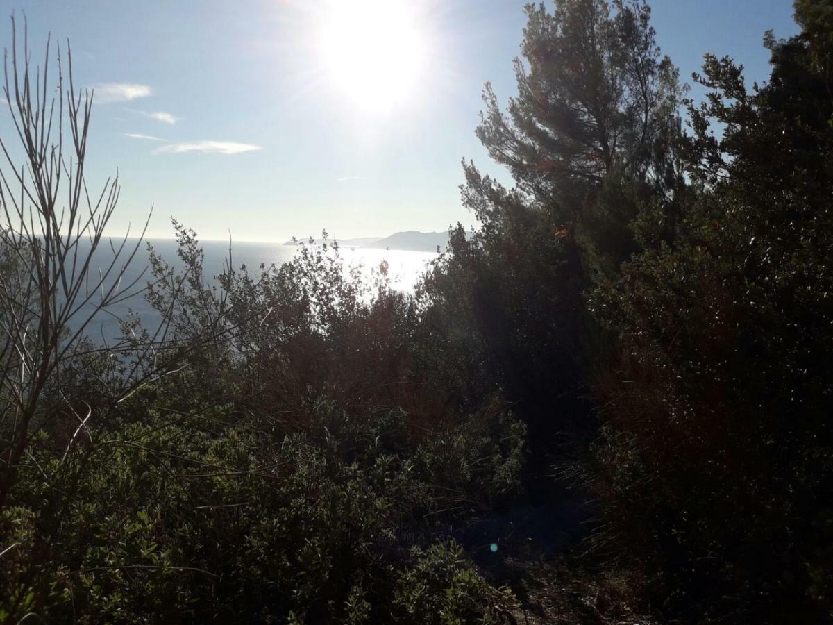 Apartment Aurora & Nicole Ideal Per Biker Con Terazza Vista Mare Parcheggio E Wi-Fi Gratuiti Pietra Ligure Eksteriør billede